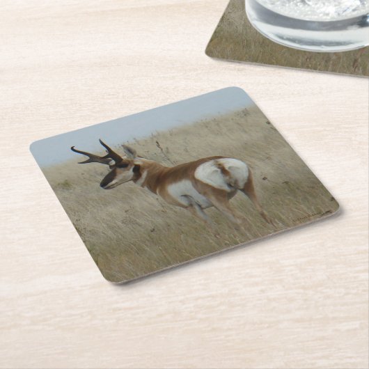 A22 Pronghorn Antelope Buck Kartonnen Onderzetters (Schuin)