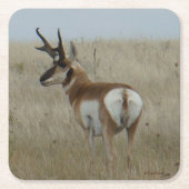 A22 Pronghorn Antelope Buck Kartonnen Onderzetters (Voorkant)