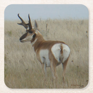 A22 Pronghorn Antelope Buck Kartonnen Onderzetters