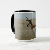 A22 Pronghorn Antelope Buck Mok (Voorkant links)