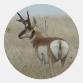 A22 Pronghorn Antelope Buck Ronde Sticker