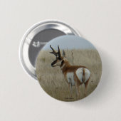 A22 Pronghorn Antelope Ronde Button 5,7 Cm (Voorkant /achterkant)