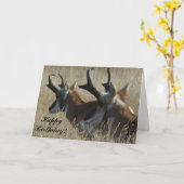 A23 Pronghorn Antelope Young Bucks Head Shot Kaart (Gele Bloem)