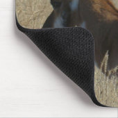 A23 Pronghorn Antelope Young Bucks Head Shot Muismat (Hoek)