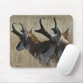 A23 Pronghorn Antelope Young Bucks Head Shot Muismat (Met muis)