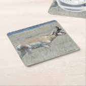 A23 Young Pronghorn Antelope Kartonnen Onderzetters (Schuin)