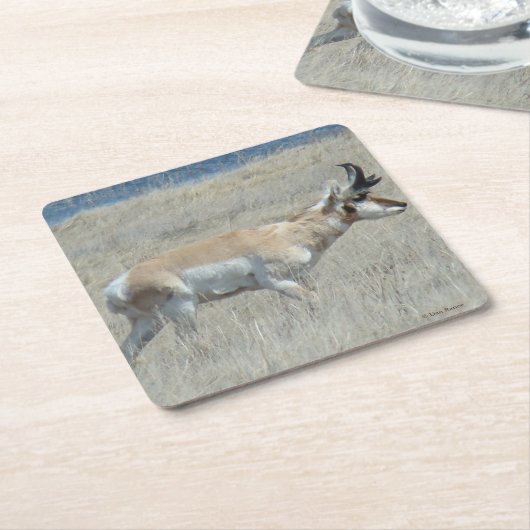 A23 Young Pronghorn Antelope Kartonnen Onderzetters (Schuin)