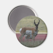 A24 Gaffelantilope Magneet (Voorkant / Achterkant)