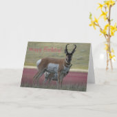 A24 Pronghorn Antelope Buck Kaart (Gele Bloem)