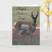 A24 Pronghorn Antelope Buck Kaart (Gele Bloem)