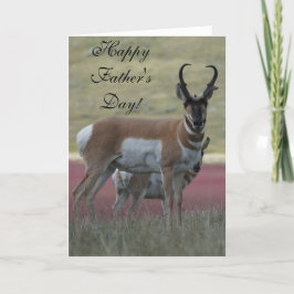 A24 Pronghorn Antelope Buck Kaart