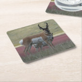 A24 Pronghorn Antelope Kartonnen Onderzetters (Schuin)