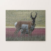 A24 Pronghorn Antelope Legpuzzel (Horizontaal)