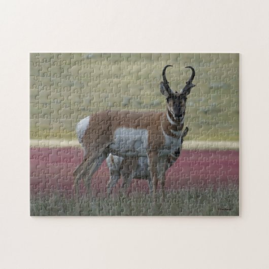 A24 Pronghorn Antelope Legpuzzel (Horizontaal)