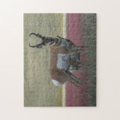A24 Pronghorn Antelope Legpuzzel (Verticaal)