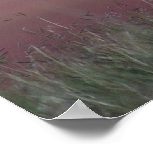 A24 Pronghorn Antelope Poster (Hoek)