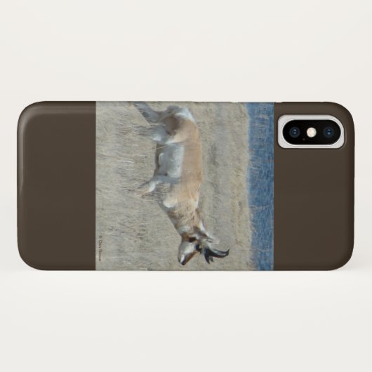 A25 Pronghorn Antelope Case-Mate iPhone Case (Achterkant (horizontaal))