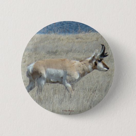 A25 Pronghorn Antelope Ronde Button 5,7 Cm (Voorkant)