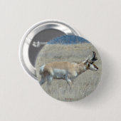 A25 Pronghorn Antelope Ronde Button 5,7 Cm (Voorkant /achterkant)