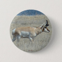 A25 Pronghorn Antelope Ronde Button 5,7 Cm