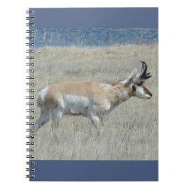 A25 Pronghorn Antelope Young Buck Notitieboek