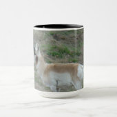 A26 Gaffelbok-antilope mannetje Mok (Midden)