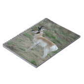A26 Gaffelbok Hertenbok Notitieboek (Linkerzijde)