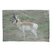 A26 Pronghorn Antelope Buck Kussensloop (Voorkant)