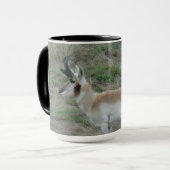 A26 Pronghorn Antelope Buck Mok (Voorkant links)