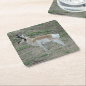 A26 Pronghorn Antelope Young Buck Kartonnen Onderzetters (Schuin)