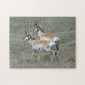 A27 Pronghorn Antelope Young Bucks Legpuzzel (Horizontaal)