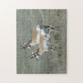 A27 Vorkhoorn Antilope Jonge Bokken Legpuzzel (Verticaal)