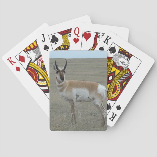 A28 Gaffelantilope Jong Mannetje Pokerkaarten (Achterkant)