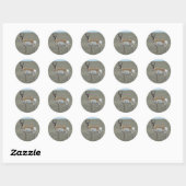 A28 Gaffelantilope Jong Mannetje Ronde Sticker (Vel)