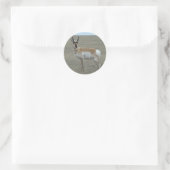 A28 Gaffelantilope Jong Mannetje Ronde Sticker (Tas)