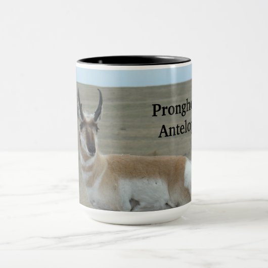 A28 Pronghorn Antelope Young Buck Mok (Midden)