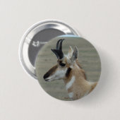 A29 Gaffelantilope Jong Mannetje Kopprofiel Ronde Button 5,7 Cm (Voorkant /achterkant)