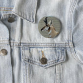 A29 Gaffelantilope Jong Mannetje Kopprofiel Ronde Button 5,7 Cm (In situ)