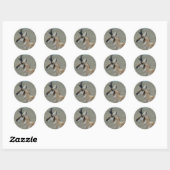 A29 Gaffelantilope Kopschot Profiel Ronde Sticker (Vel)