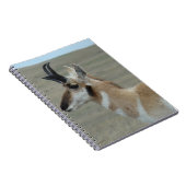 A29 Pronghorn Antelope Young Buck Head Profiel Notitieboek (Rechterzijde)