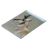 A29 Pronghorn Antelope Young Buck Head Profiel Notitieboek (Linkerzijde)