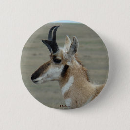 A29 Pronghorn Antelope Young Buck Head Profiel Ronde Button 5,7 Cm