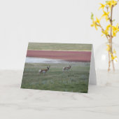 A2 de Bokken van de Antilope van Pronghorn Kaart (Gele Bloem)