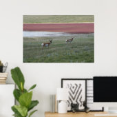 A2 Pronghorn Antelope Poster (Thuiskantoor)