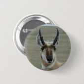 A30 Gaffelbok Jong Mannetje Kopschot Ronde Button 5,7 Cm (Voorkant /achterkant)