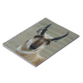 A30 Pronghorn Antelope Young Buck Head Shot Notitieboek (Linkerzijde)