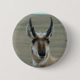 A30 Pronghorn Antelope Young Buck Head Shot Ronde Button 5,7 Cm