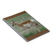 A31 Gaffelantilope Doe Notitieboek (Rechterzijde)