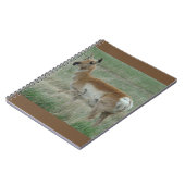 A31 Gaffelantilope Doe Notitieboek (Linkerzijde)