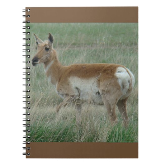 A31 Gaffelantilope Doe Notitieboek (Voorkant)